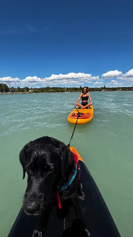 Evezőpad a Balatonon, a kutyánkkal